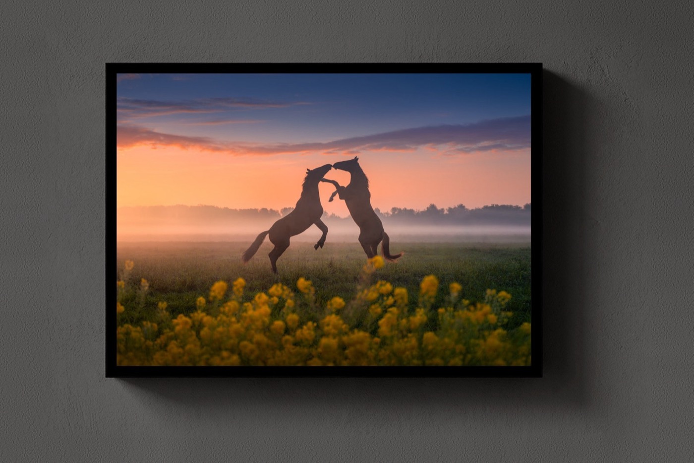 Kissing Horses