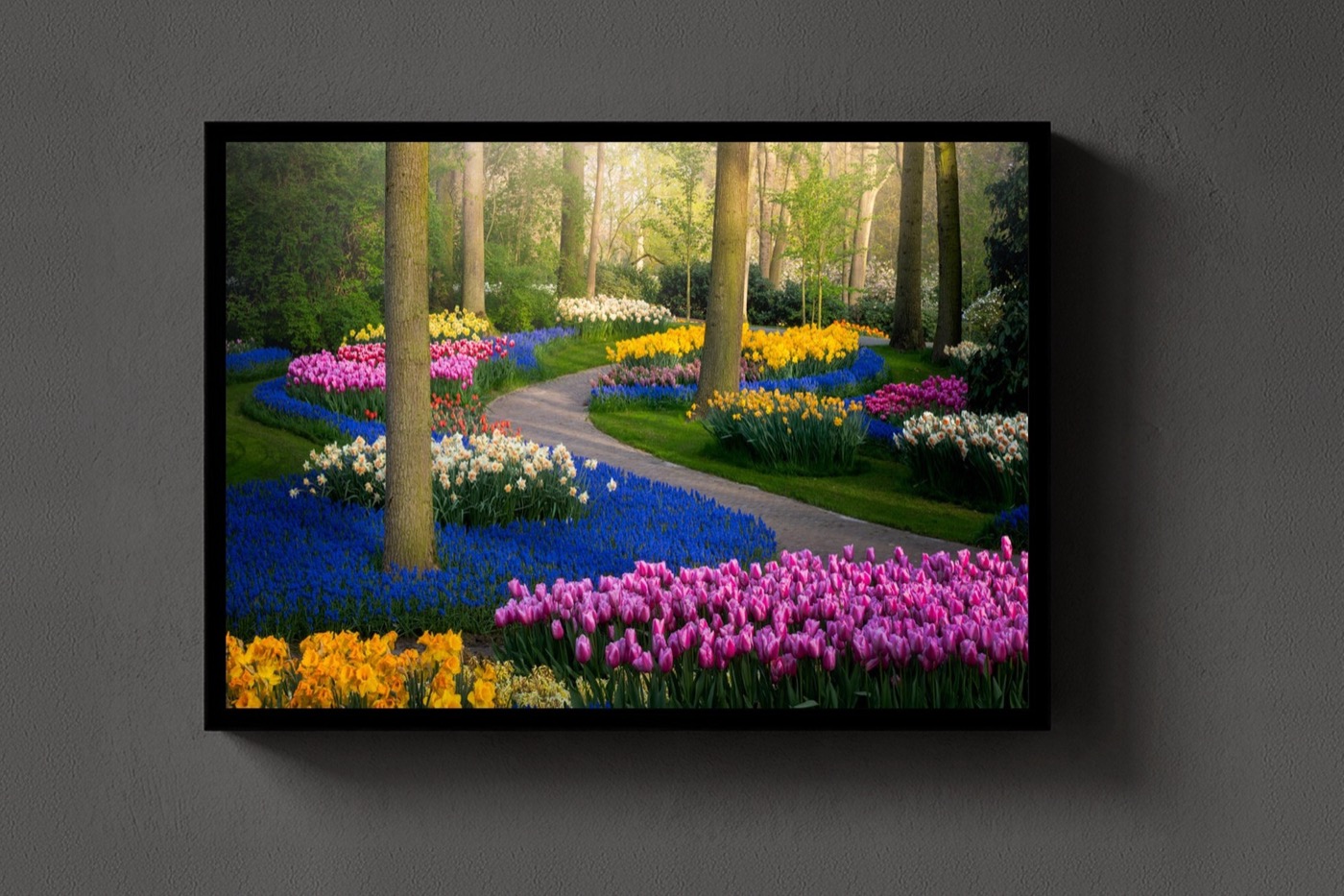 Zig Zagged Tulips