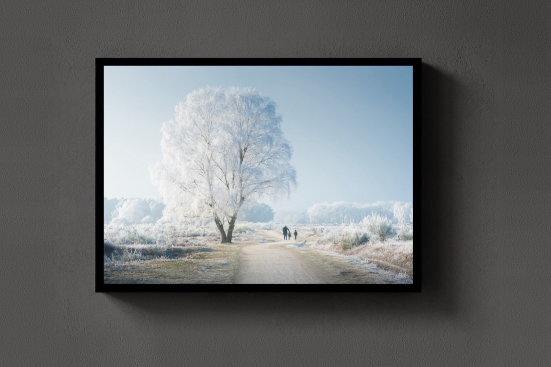 A Frozen Wonderland