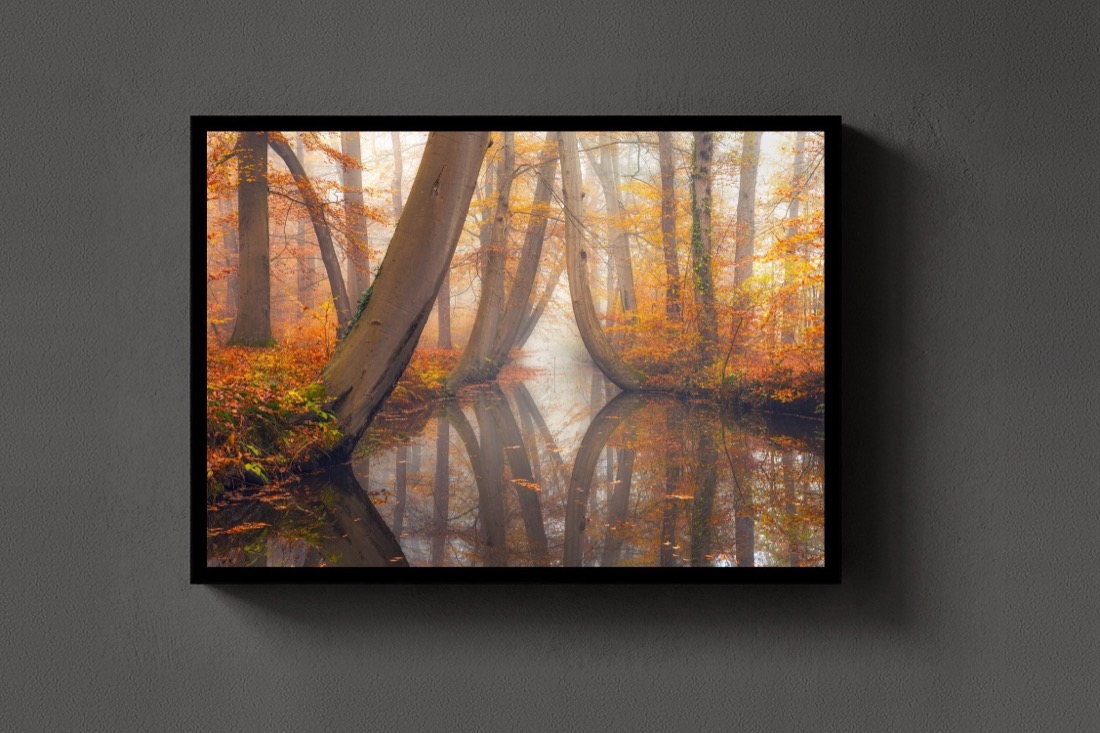 Autumn Mirror