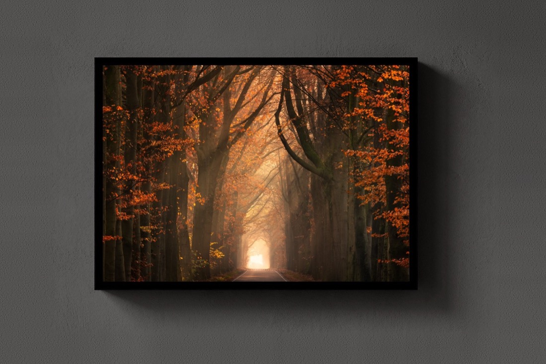 Beautiful Autumn