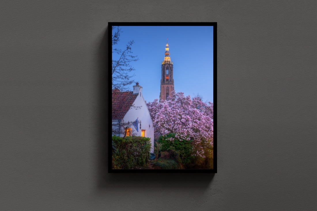 Blossom and Tower