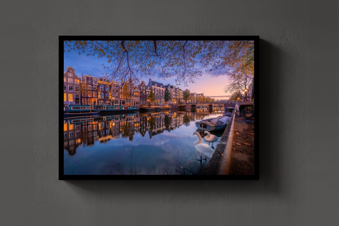 City of the Swans