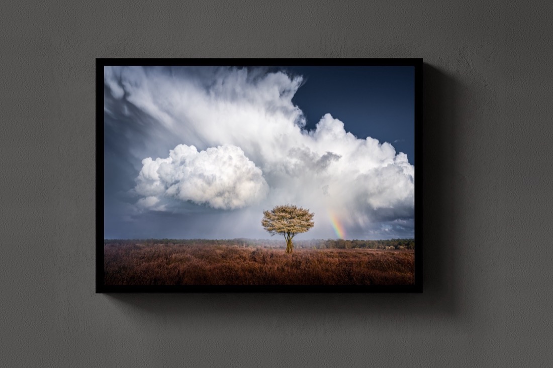 Cloud and Rainbow