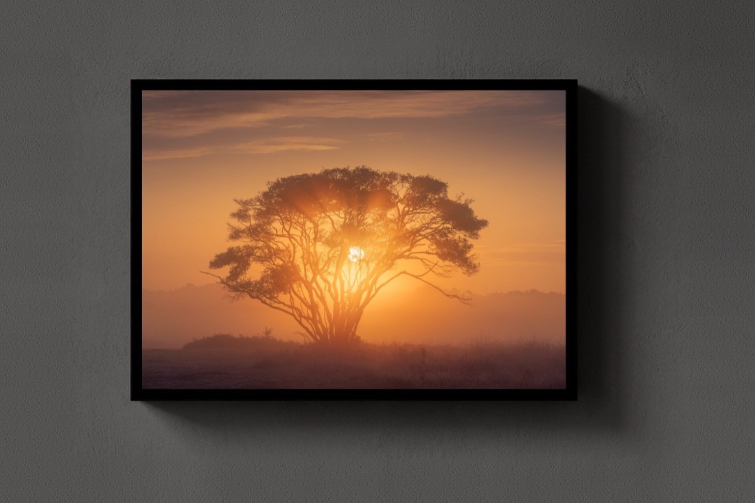 Dutch Africa