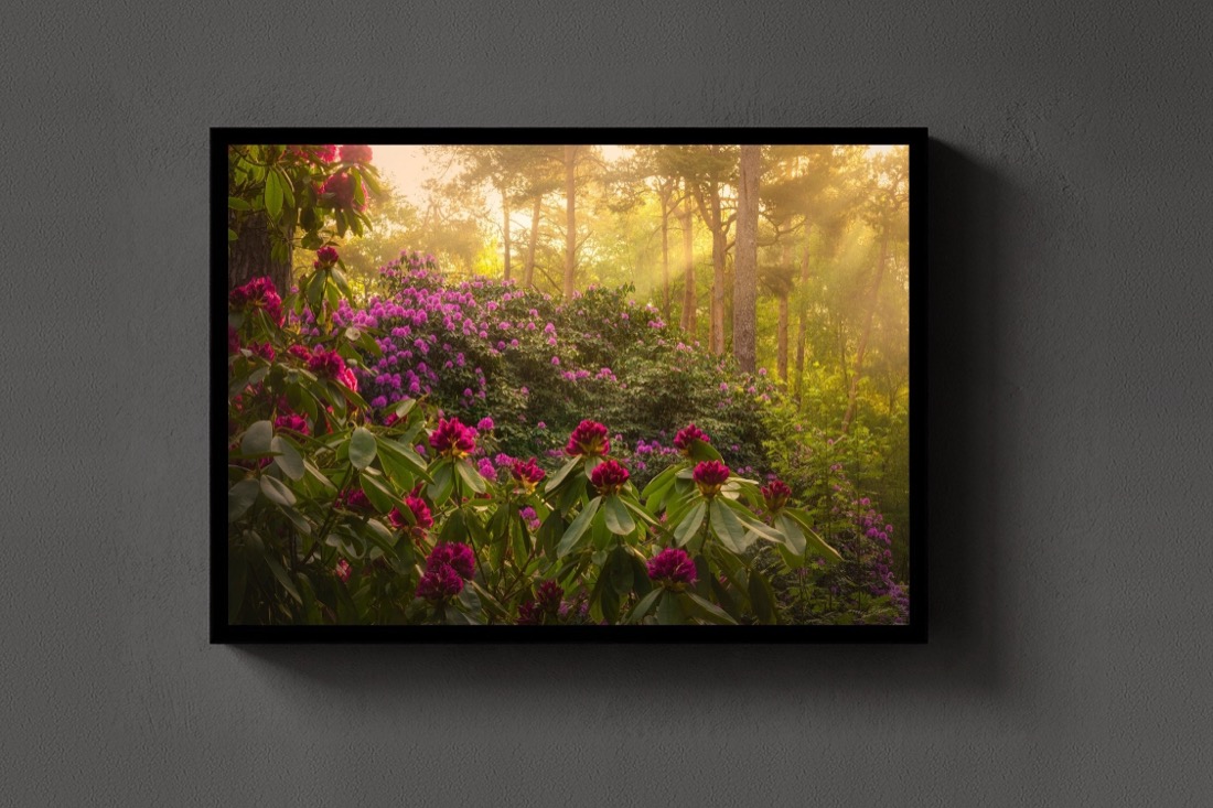 Flower Forest