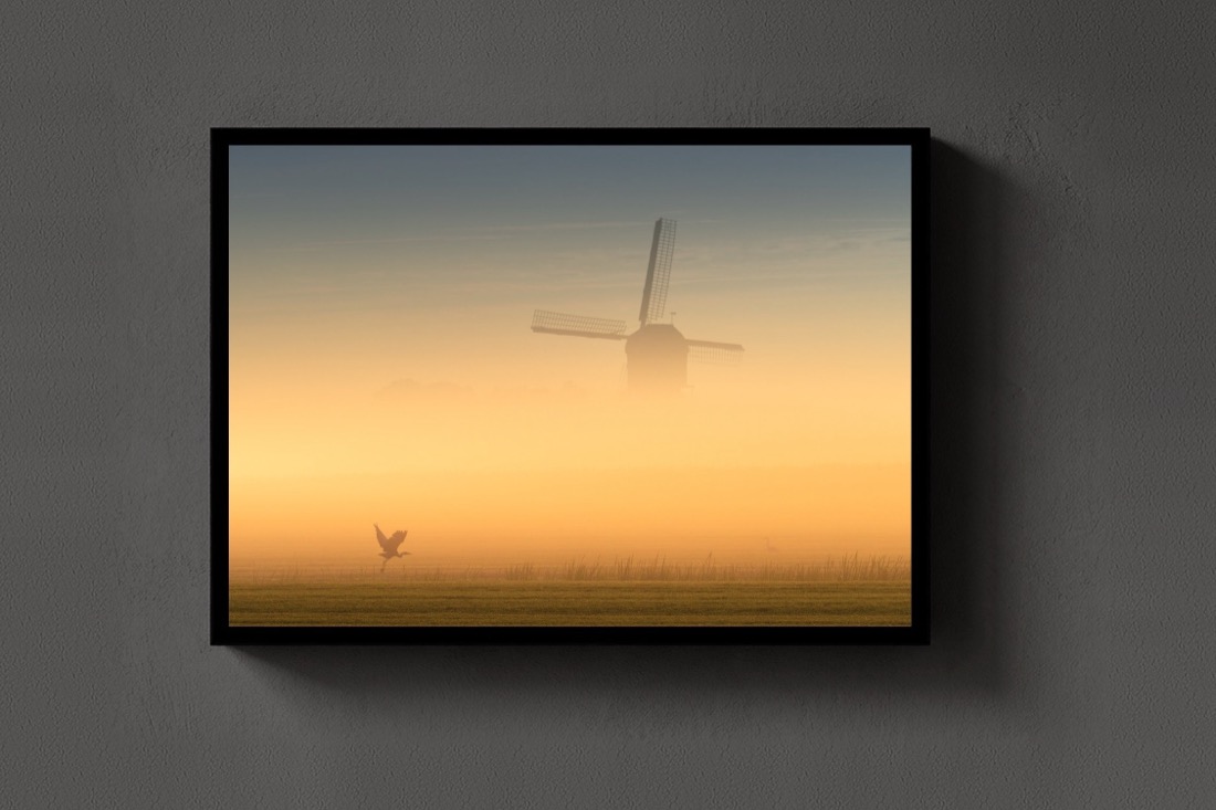 Golden Fog