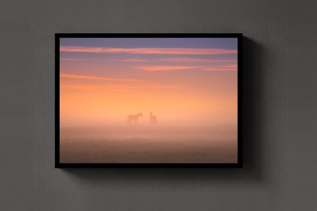 Horses in the Mist