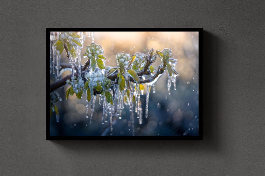 Ice on Spring