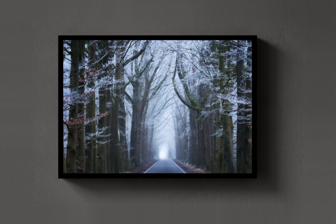 Into the White