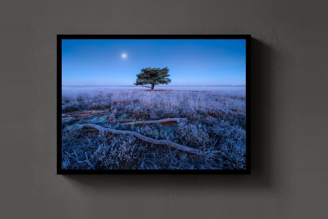 Moon over the Heath