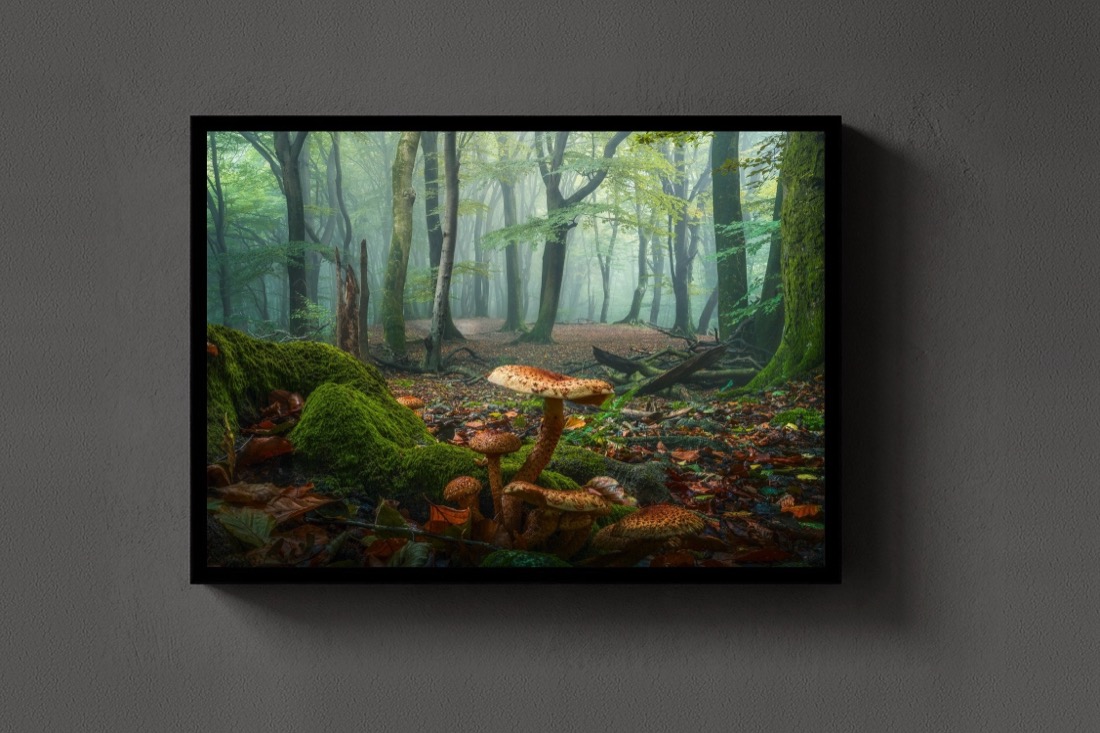 Mushroom World