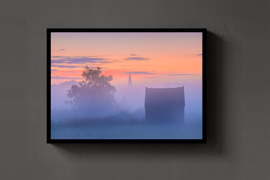 Pink Fog