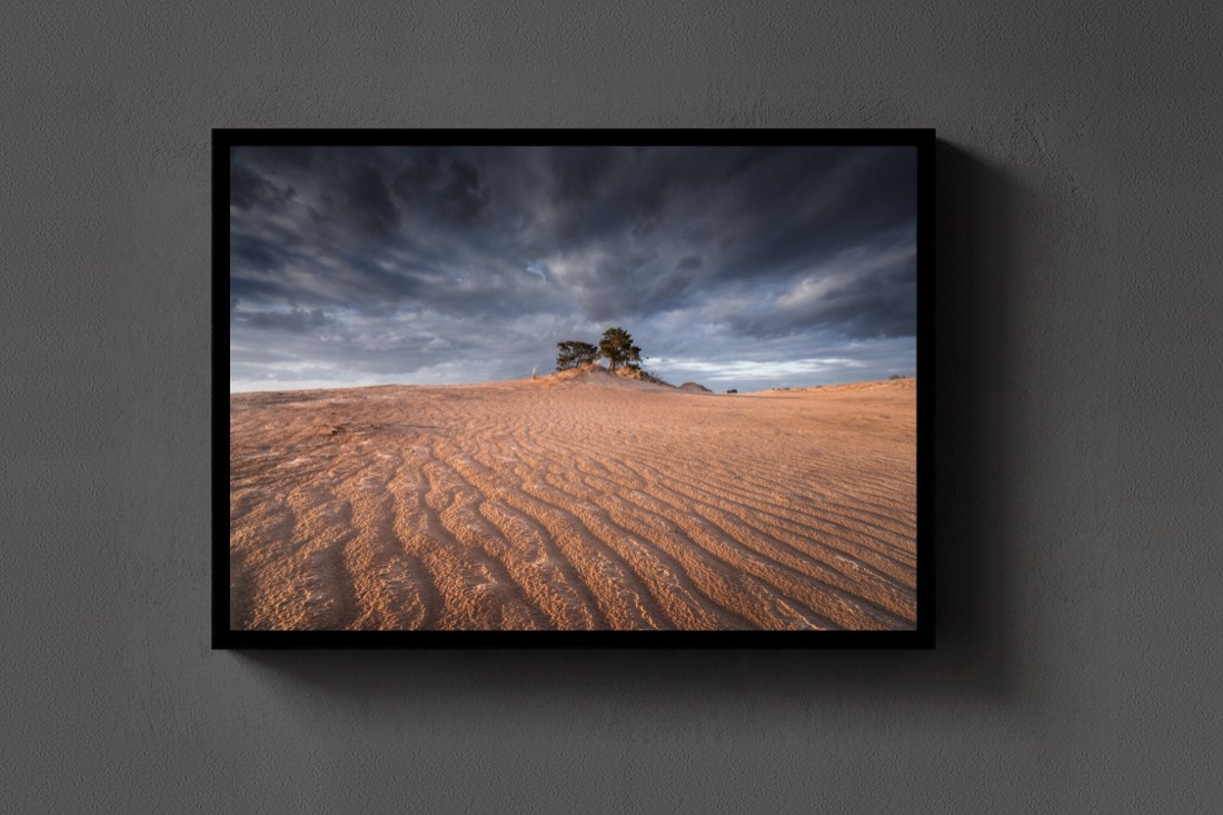 Sand and Tree