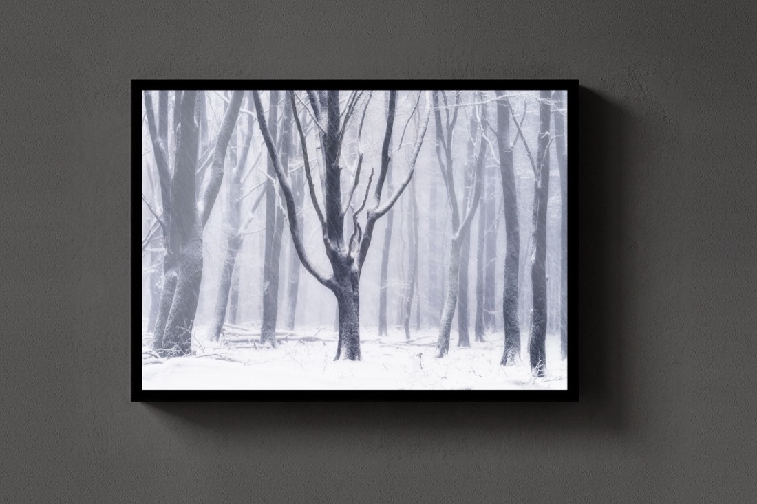 Silent Snow