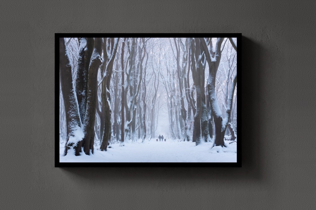 Snow Lane