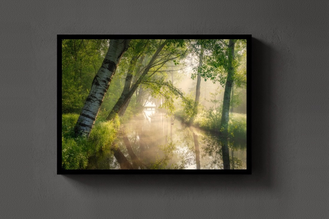 Spring Rays
