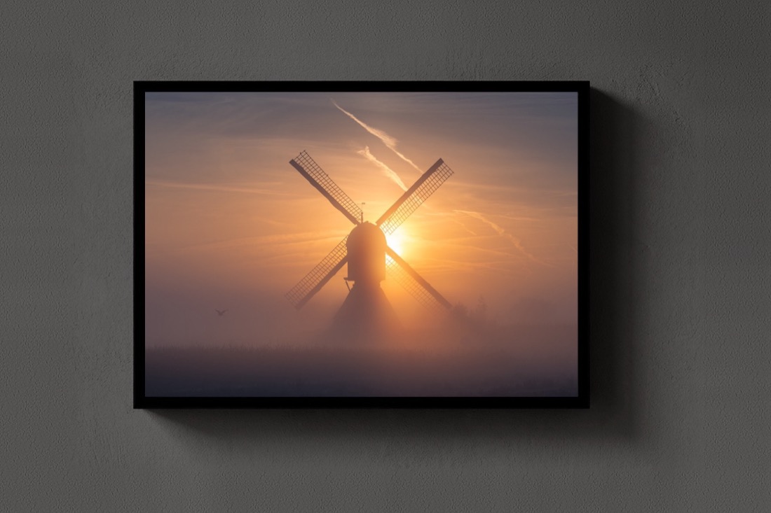 Sun Through the Sails