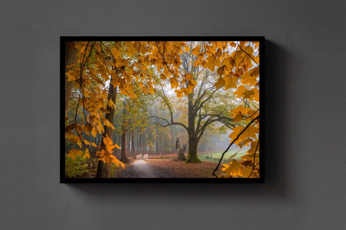 The Autumn Walk