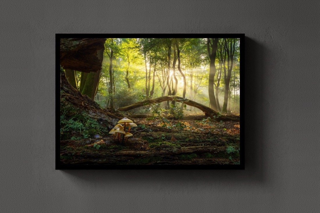 The Fallen Arch
