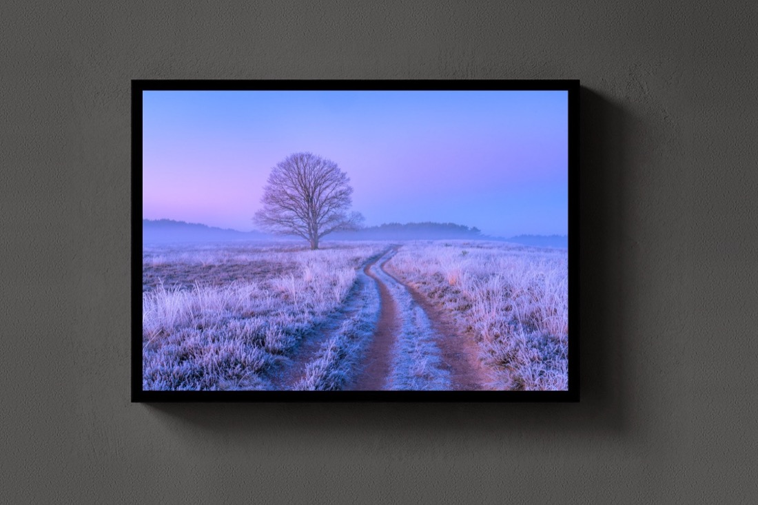 The Frozen Track