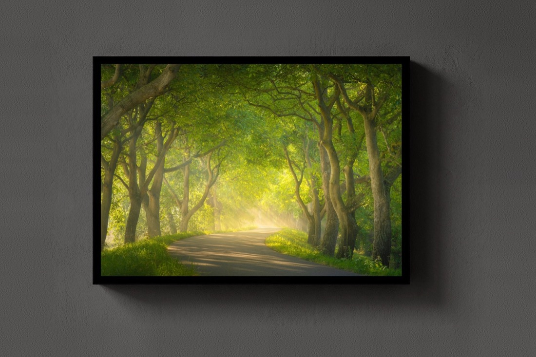 The Green Tunnel