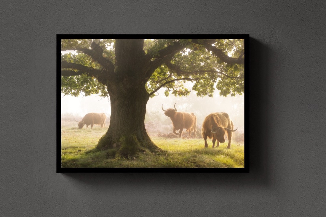 The Herd and the Oak