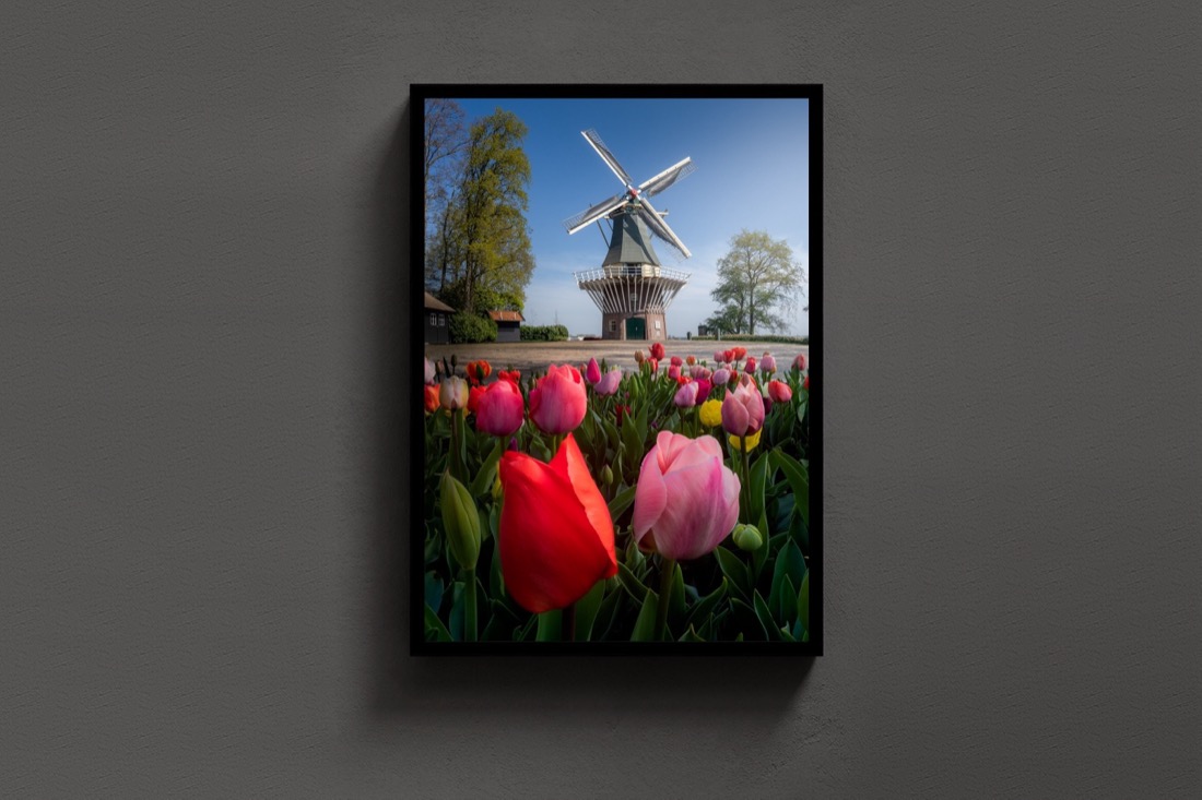 The Keukenhof Mill