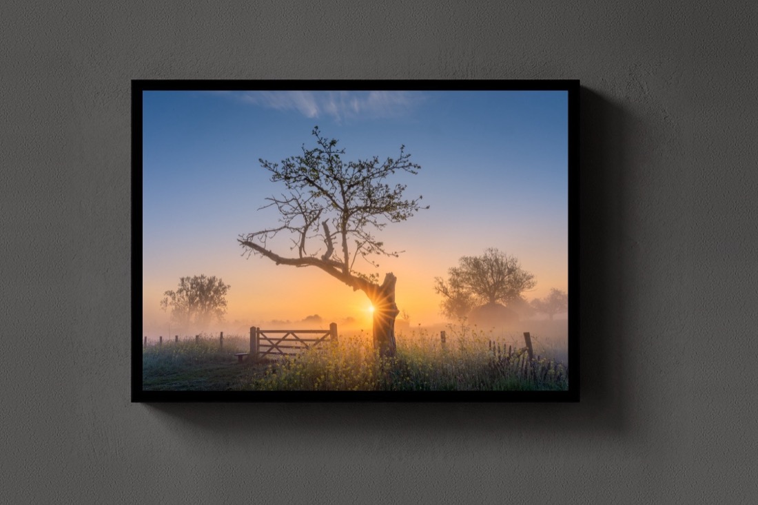 The Morning Gate