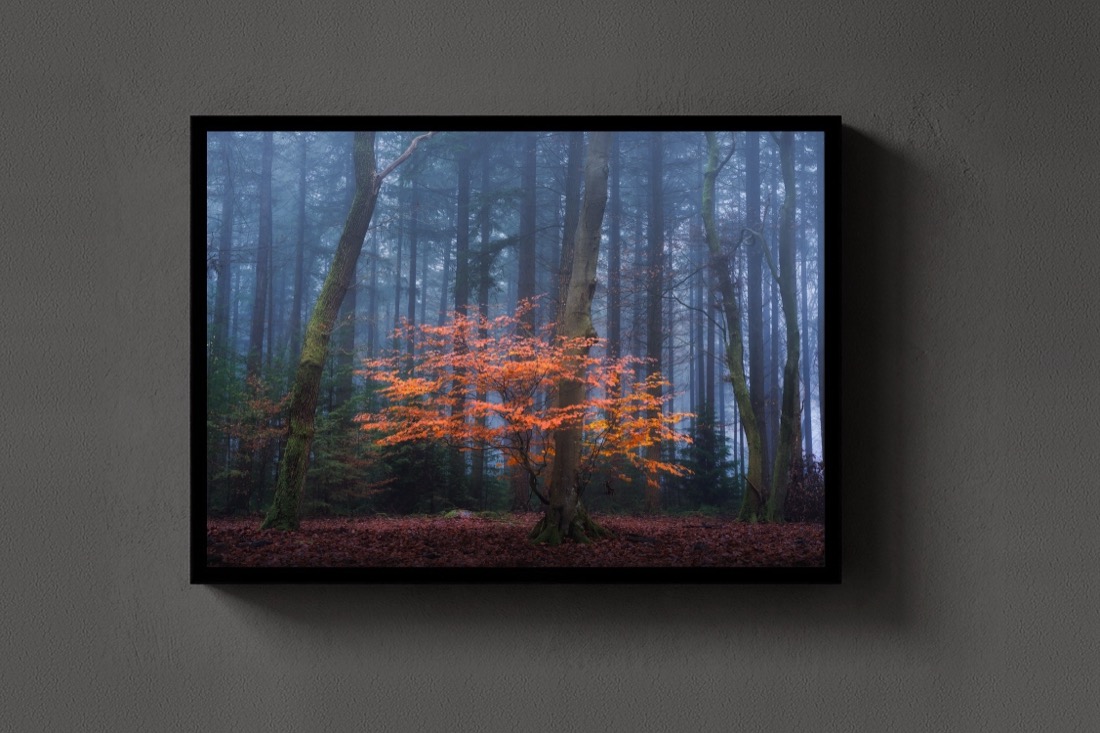 The Orange Touch