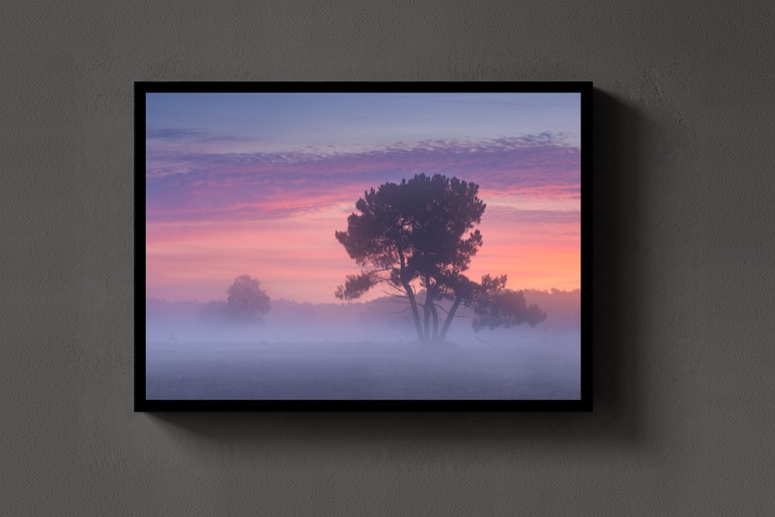 The Pastel Tree