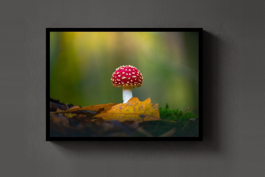The Red Cap
