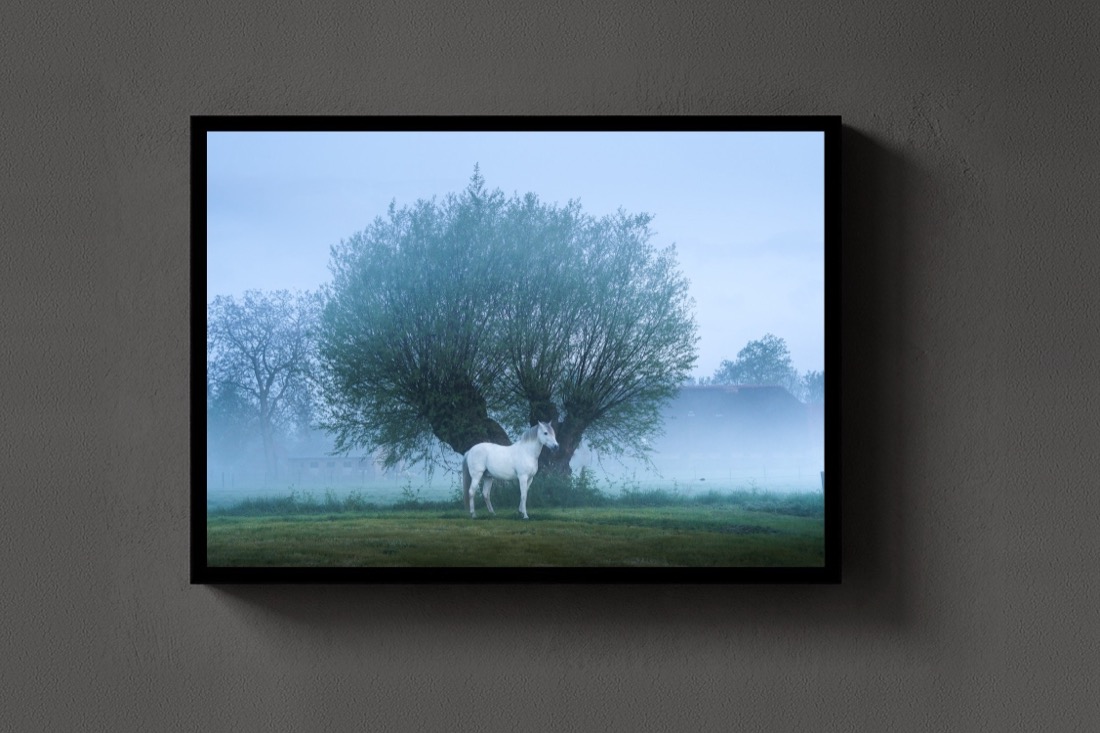 The White Horse