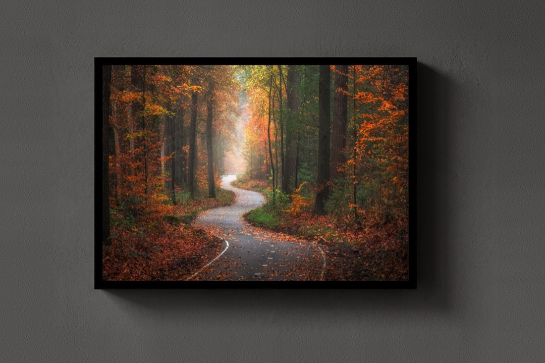 The Winding Path