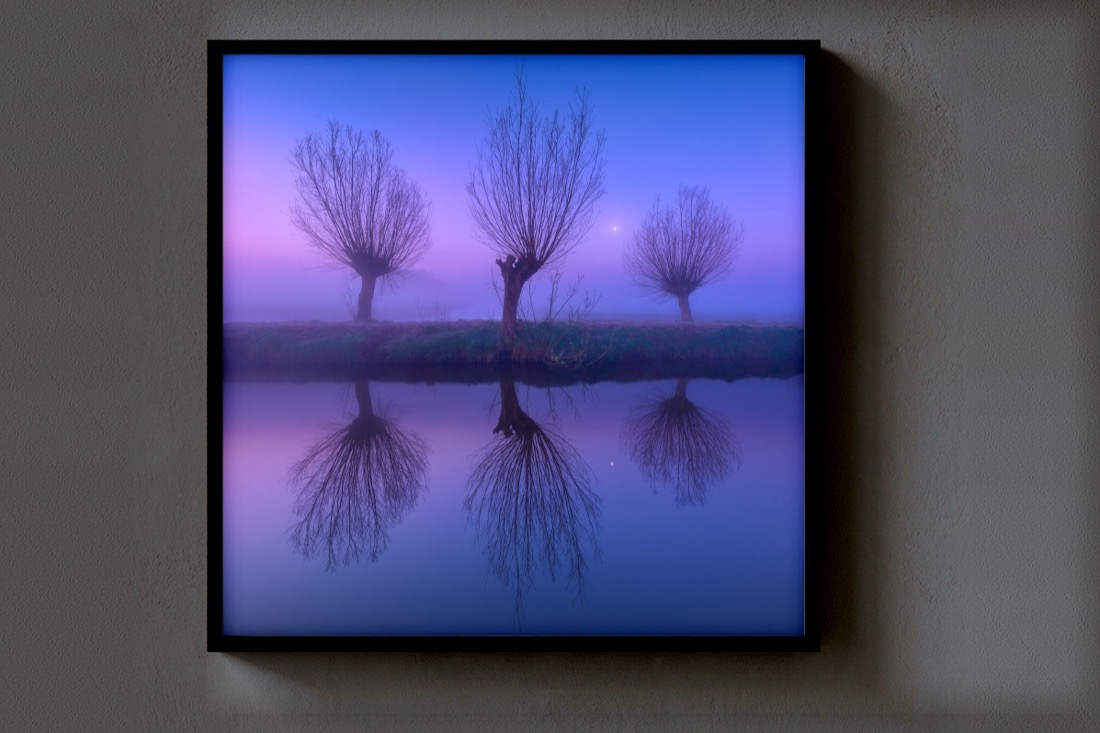Three Willows