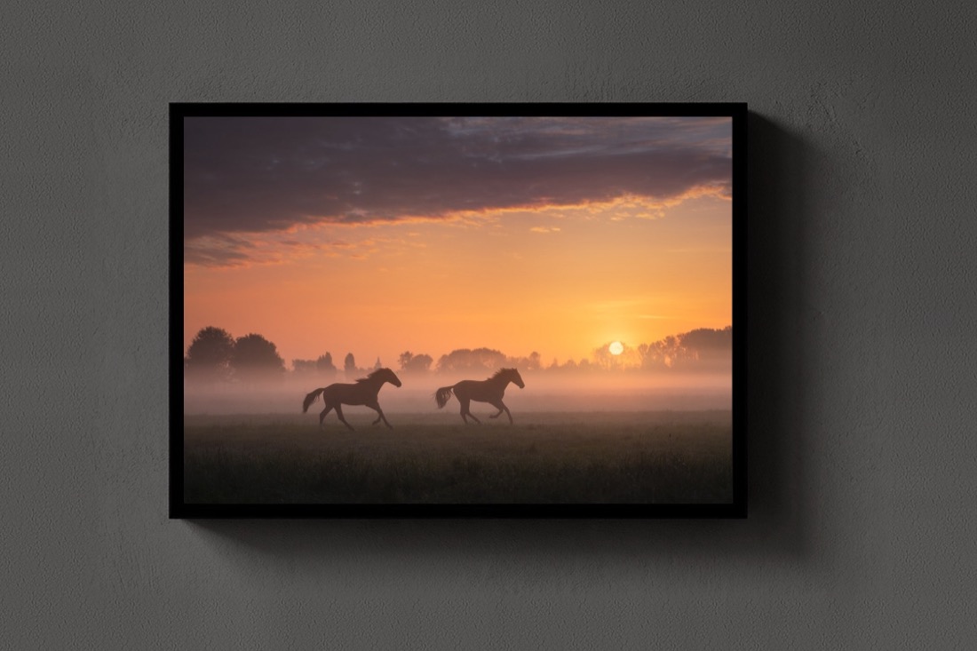 Two Horses