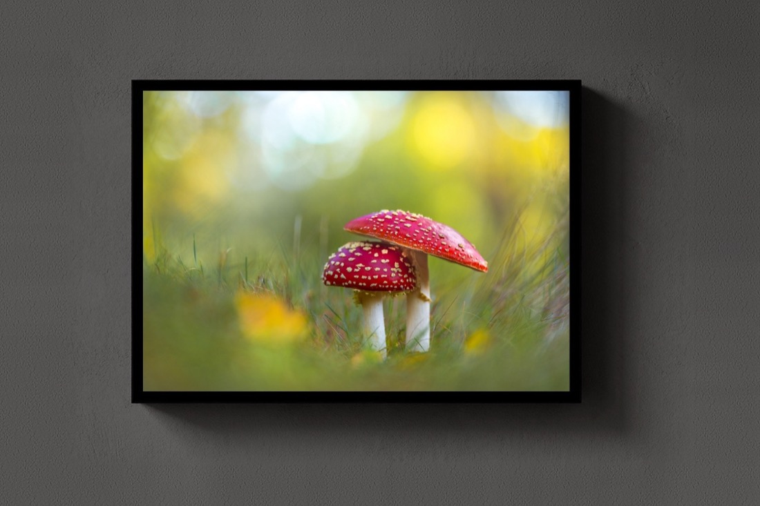 Two Red Caps