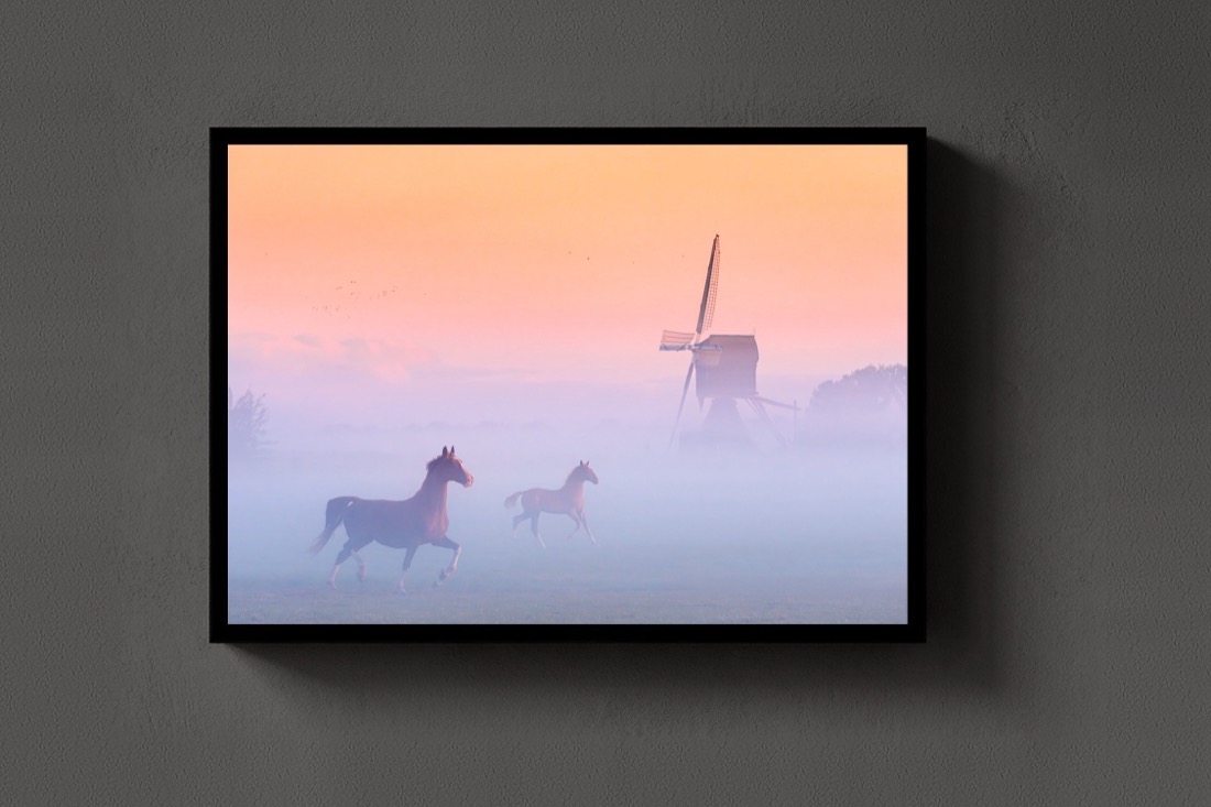 Windmill Horses