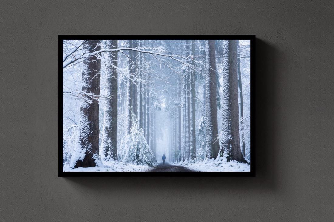 Winter Wonderland