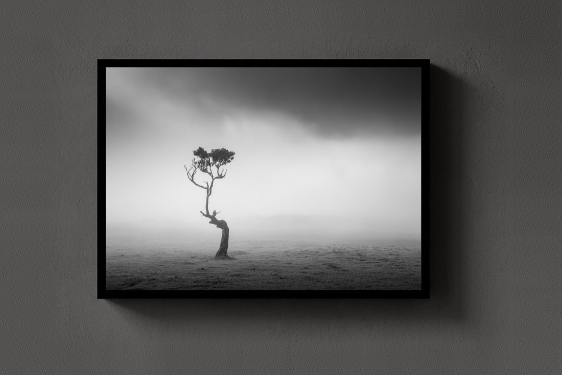 Alone in the Mist