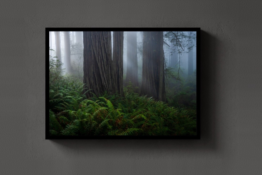 Among the Giants
