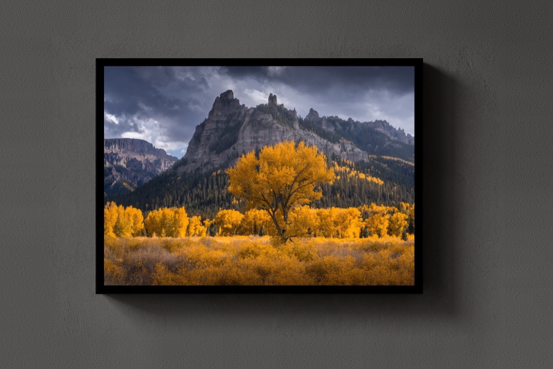 Autumn Sentinels