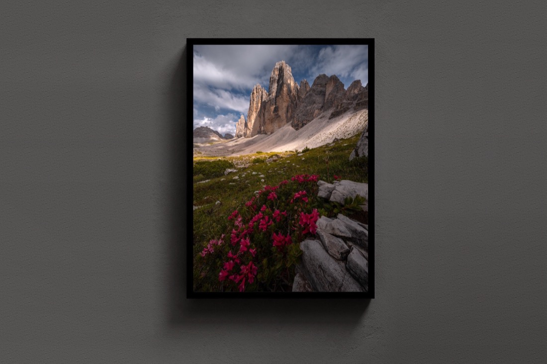 Bloom Beneath the Peaks