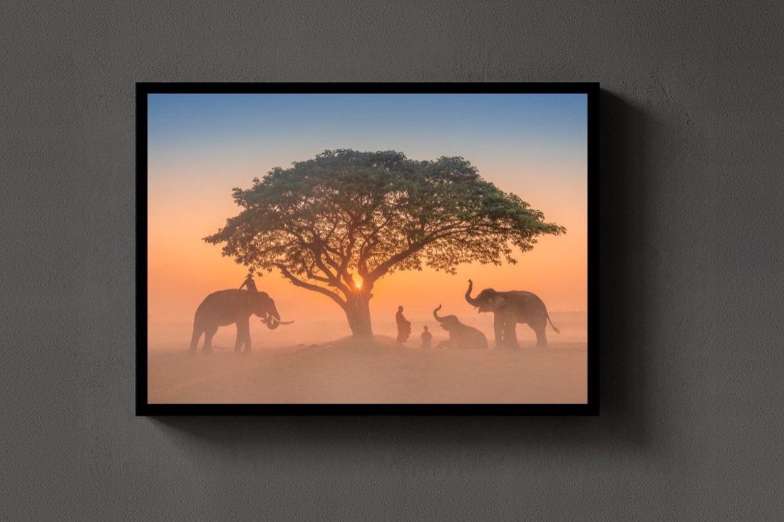 Elephants at Dawn