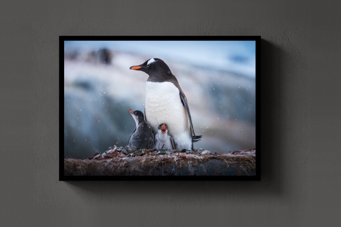 Family on the Rocks
