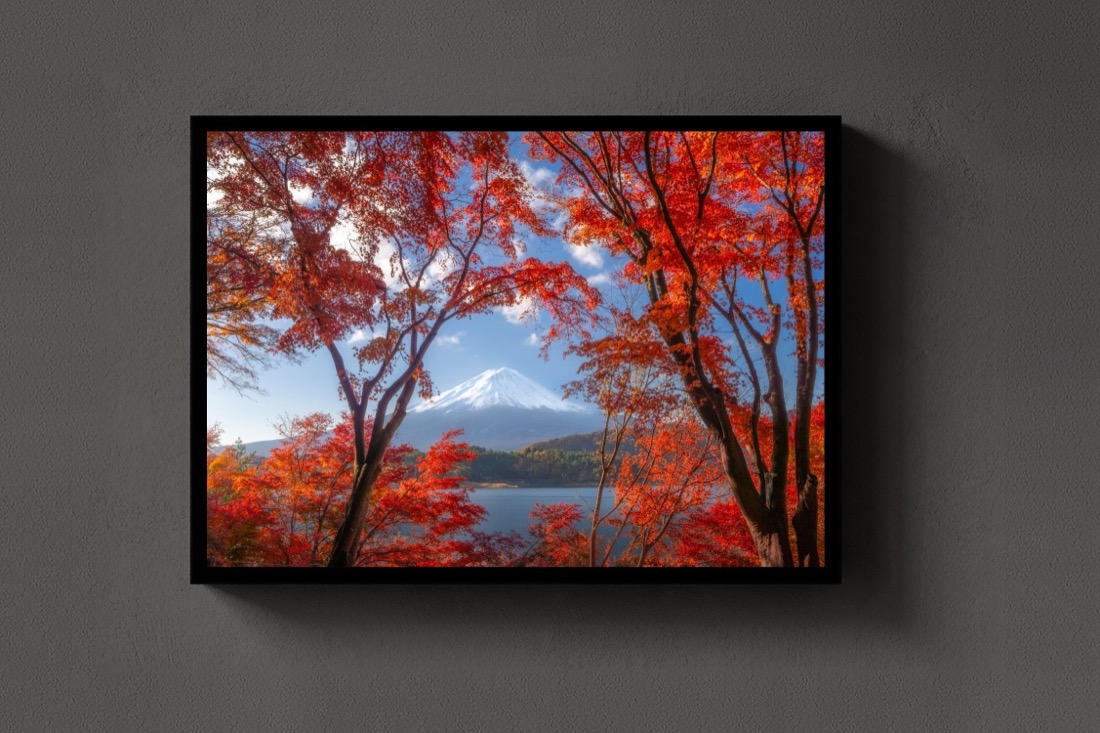 Fuji in Red