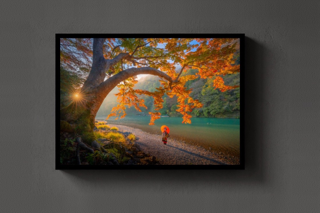 Japan Autumn Dream