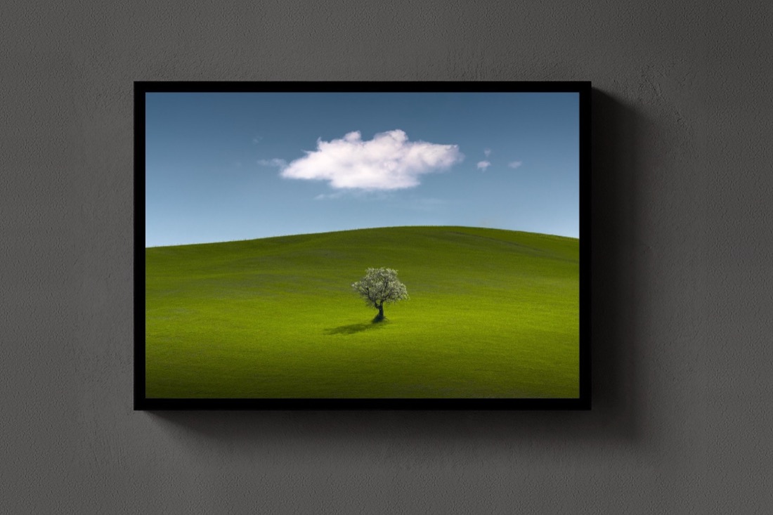 Lone Tree
