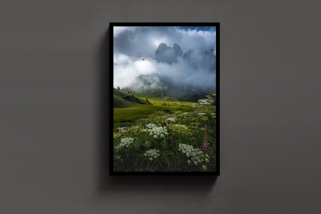 Meadow in the Clouds