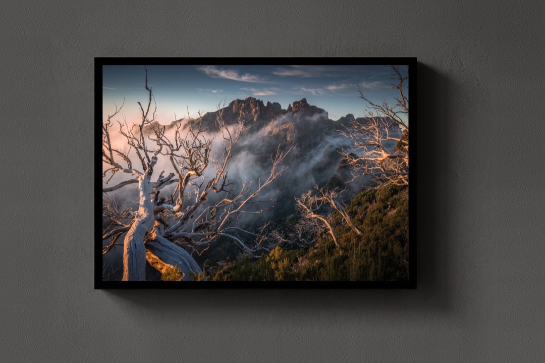 The Burnt Ridge